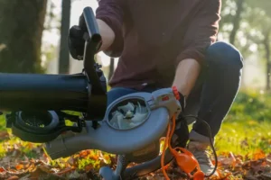 Elektrischer Laubbläser und -sauger 3-in-1 STERWINS 3000 W 288 km/h – Image 3