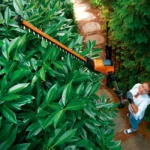 WORX Akku-Heckenschere mit Teleskopstiel 20 V, 45 cm (Sologerät) – Image 2